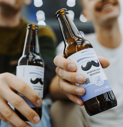 piva Proovan, Elektrárna