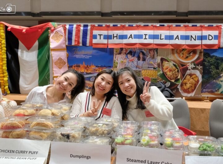 DSA mezinárodní charitativní vánoční trh