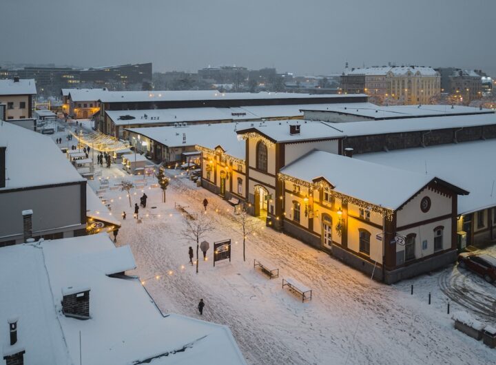 Poklidný Advent v Holešovické tržnici