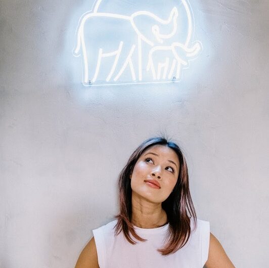 Ha Thanh Špetlíková