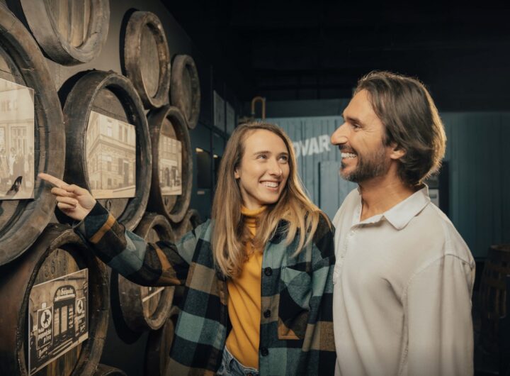 Svatomartinské prohlídky