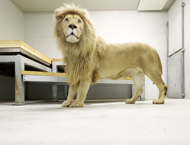 FOTO: ZOO Tábor/Václav Kučera