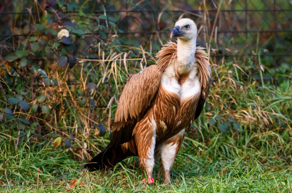 Zoo Zlín