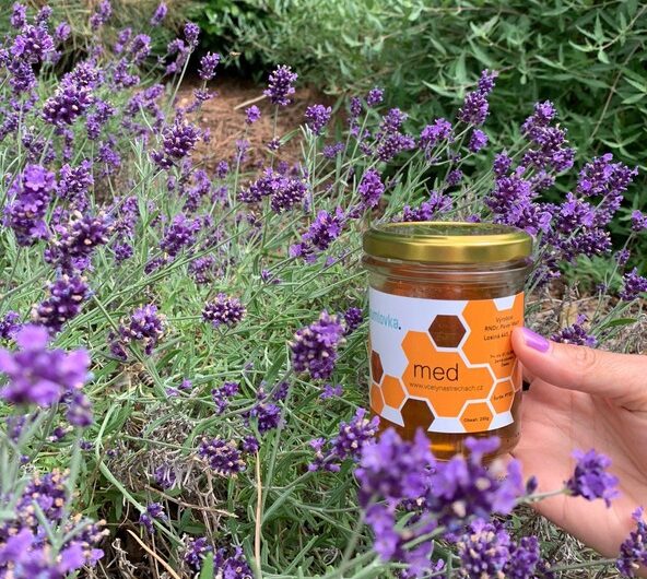 Včelaření, Brumlovka