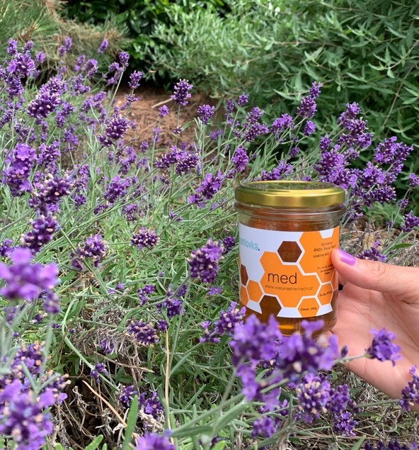 Včelaření, Brumlovka