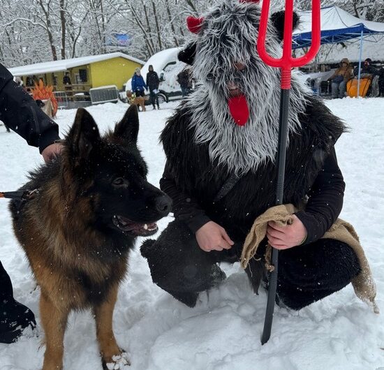 mikulášská besídka v ČR pro čtyřnohé kamarády