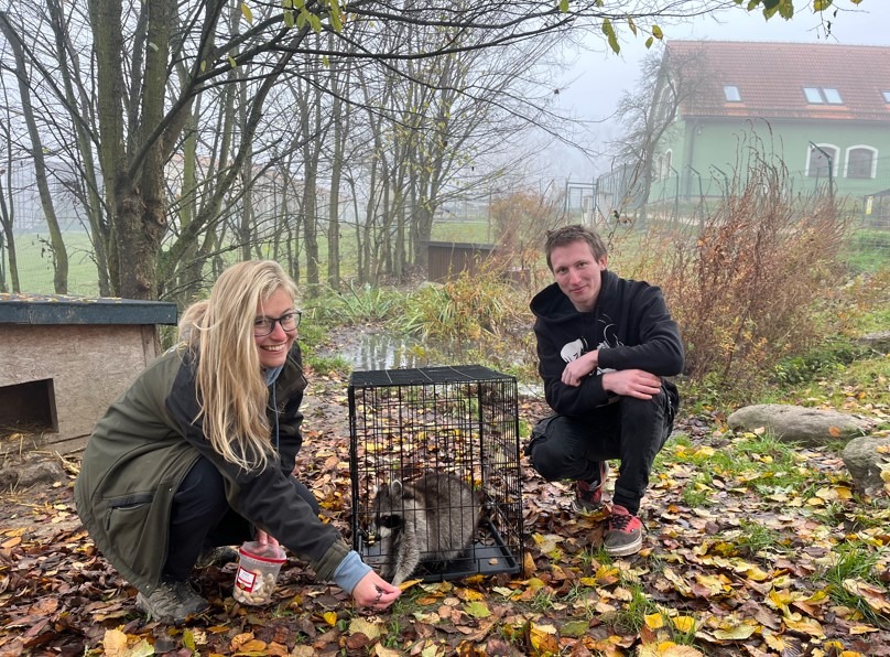 Fotky zachráněné samice mývala od Martina Ondrucha a Evy Nemravové