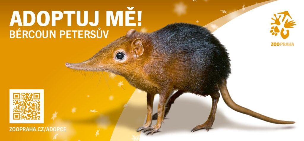 Adoptuj mě!