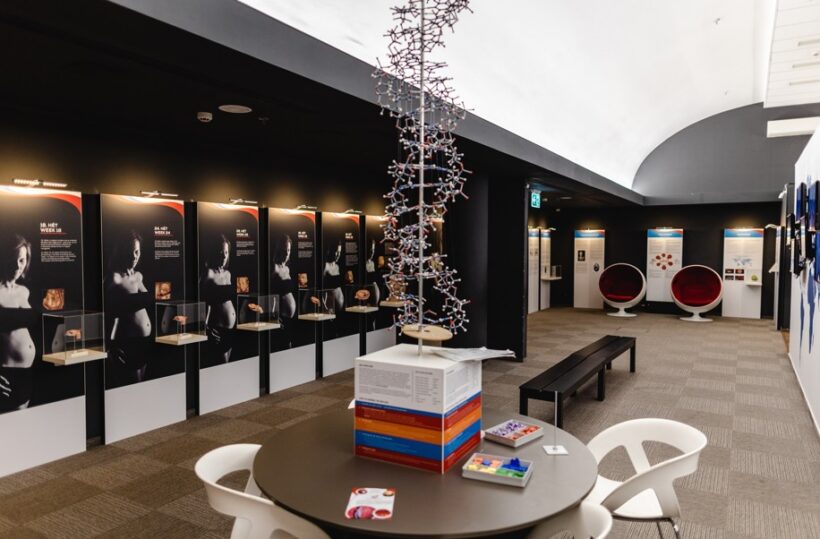 Paláci divů (Csodák Palotája) 