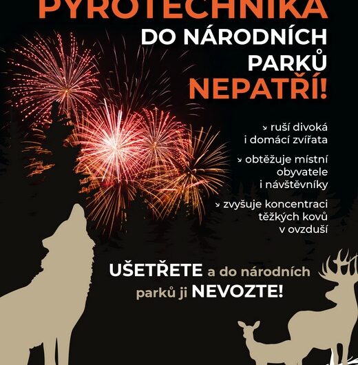 Pyrotechnika , Zábavní pyrotechnika, Vánoce v Krkonoších,