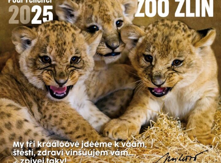 Štědrý den a vánoční svátky v Zoo Zlín