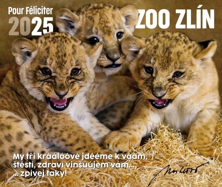 Štědrý den a vánoční svátky v Zoo Zlín