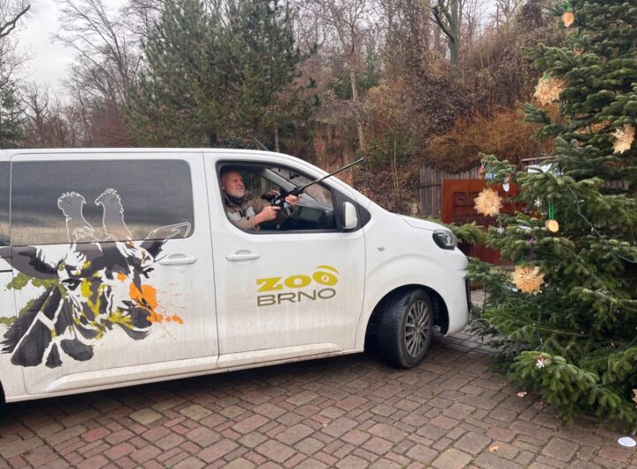 Zoo Brno
