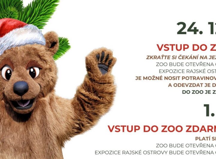 Zoo Děčín, čekání na Ježíška