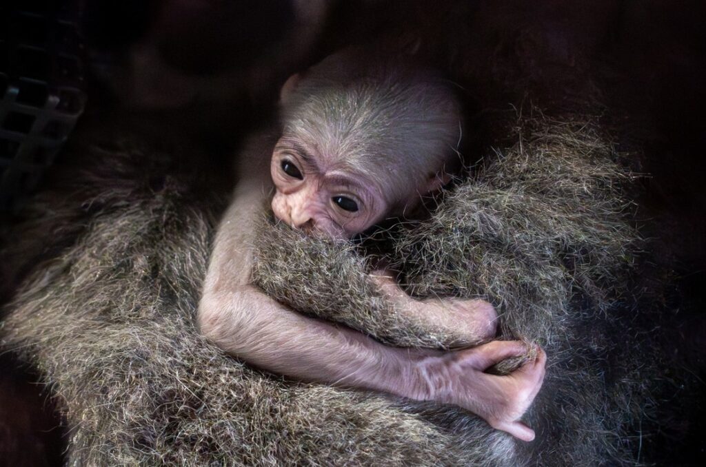 Zoo Praha
