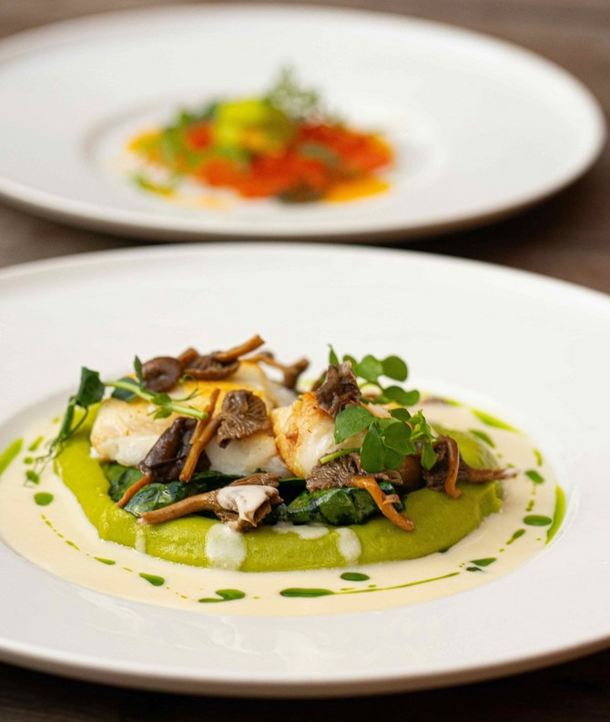 degustační menu, restaurace Graf 26, Four Seasons Prague