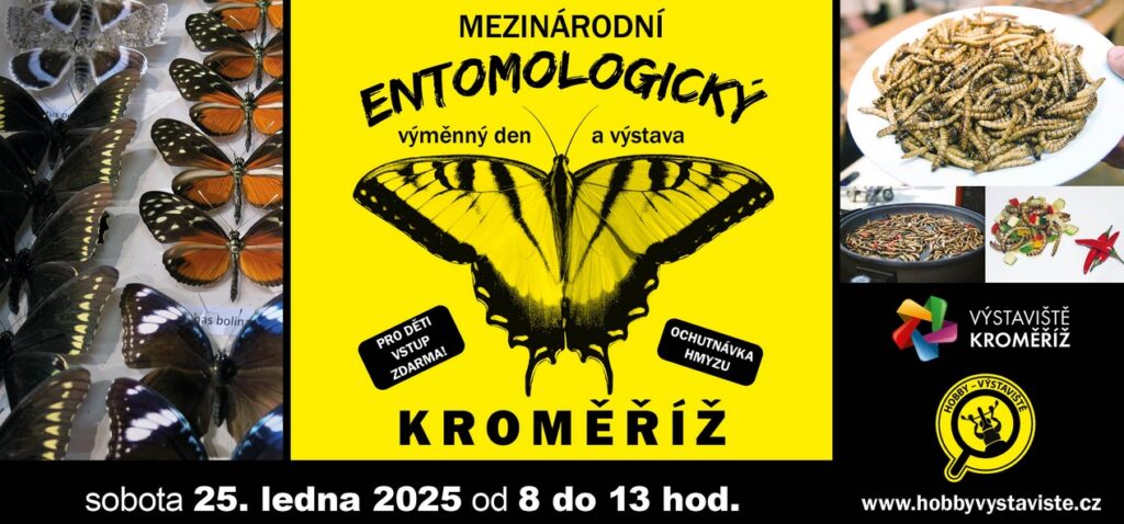 PRODEJNÍ VÝSTAVA BROUKŮ A MOTÝLŮ