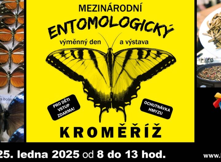PRODEJNÍ VÝSTAVA BROUKŮ A MOTÝLŮ