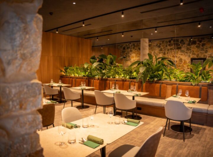 Podbělka a Lobby bar Vista