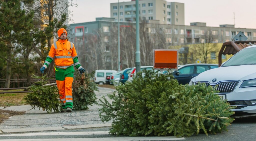SVOZ STROMEČKŮ 2025, Pražské služby