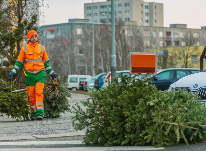 SVOZ STROMEČKŮ 2025, Pražské služby
