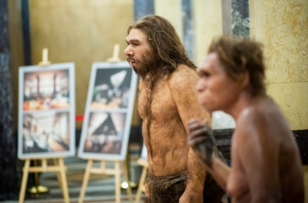 Národní muzeum , muzeum, Praha