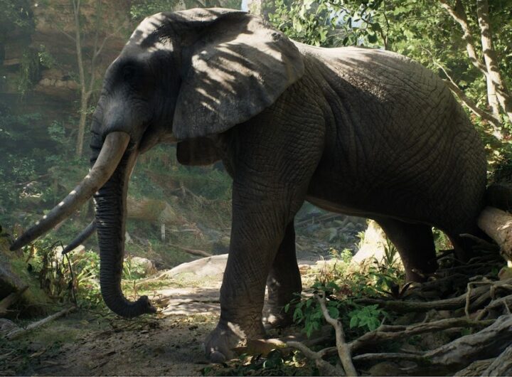 paliativní péči pro děti, zdraví, životní styl