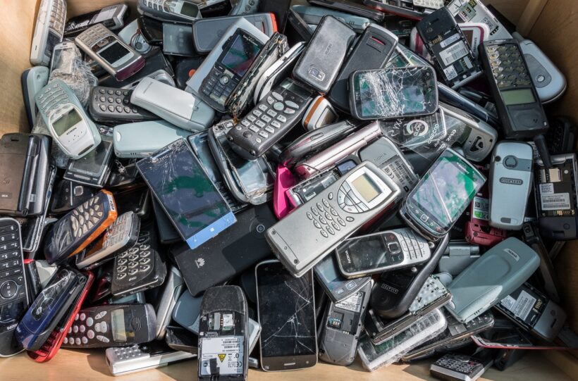 Zoo Praha,   luskoun krátkoocasý Šiška