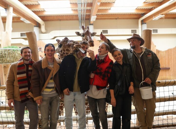 Zoo, Prima