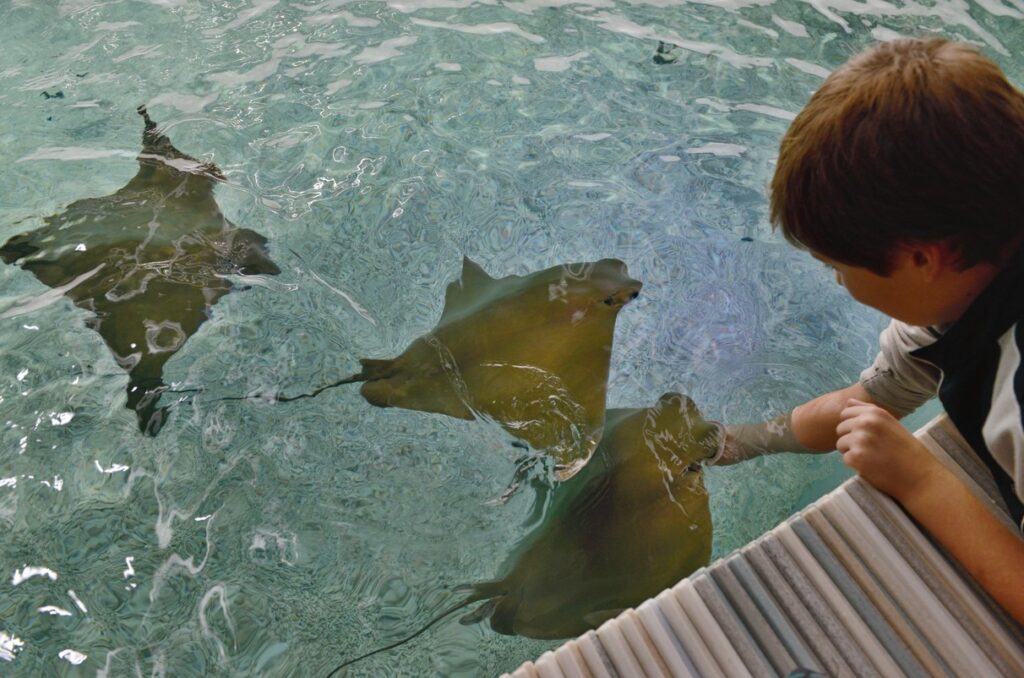 Zoo Zlín, Zoo , vysvědčení, děti