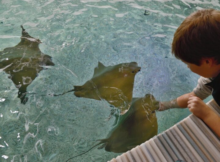 Zoo Zlín, Zoo , vysvědčení, děti