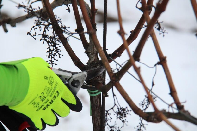 BS vinařské potřeby