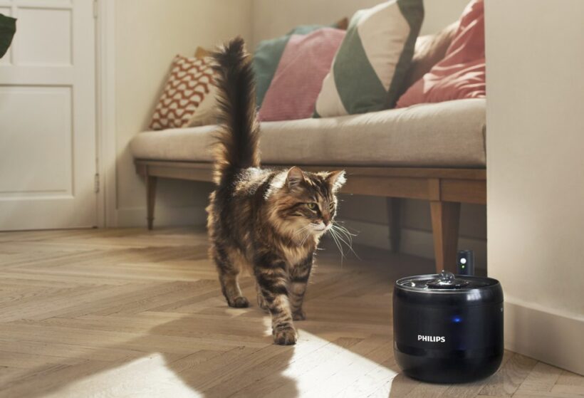 Fontánka na vodu PAW321002