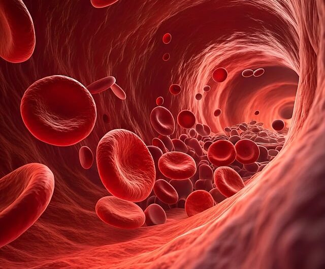 podlitiny, špatná srážlivost krve, zdraví, Nádory krve, odběr krve, bílé krvinky, krevní destičky