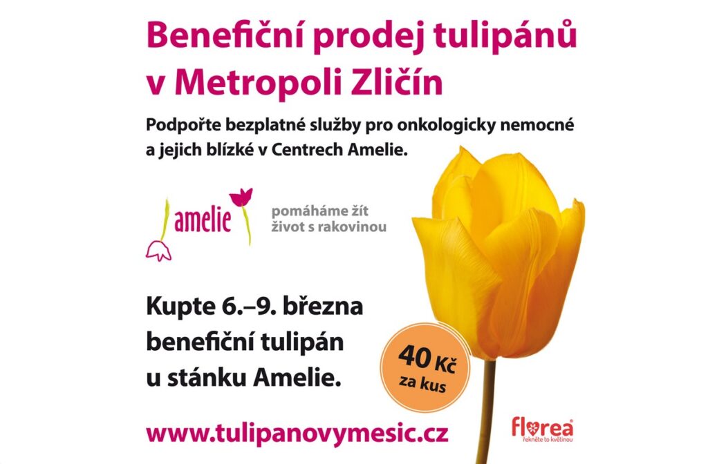 Metropole Zličín, naděje, onkologicky nemocní, Thomayerova nemocnice, organizace Amelie, květina, tulipán