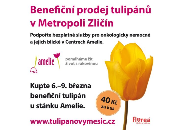 Metropole Zličín, naděje, onkologicky nemocní, Thomayerova nemocnice, organizace Amelie, květina, tulipán