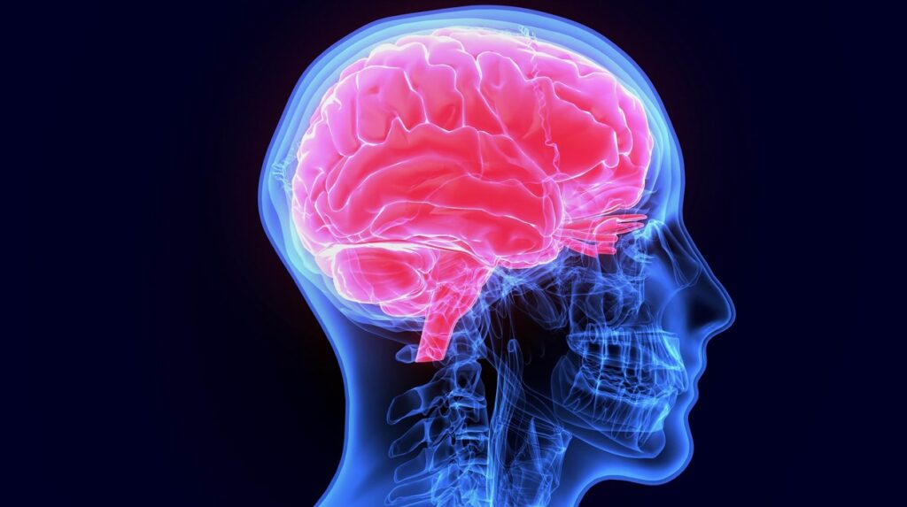 mozek, voda, zdraví, životní styl, paměť, BRAIN FOOD, Chromozoom