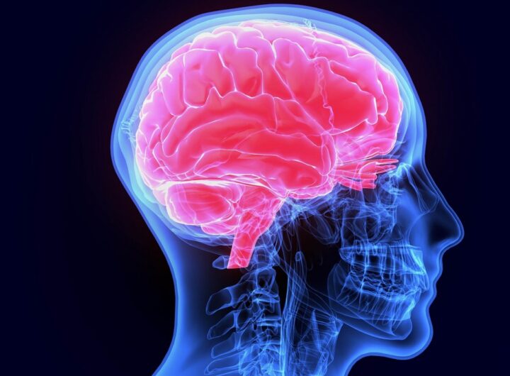 mozek, voda, zdraví, životní styl, paměť, BRAIN FOOD, Chromozoom