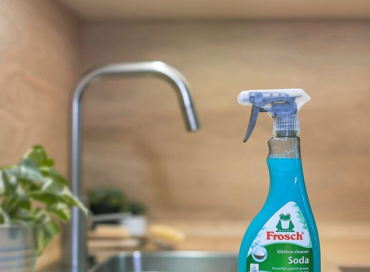 Frosch , GREEN BRANDS,, ekoligie, recyklace, redukce životní styl