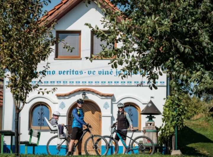 Slovácko, Krajem vína