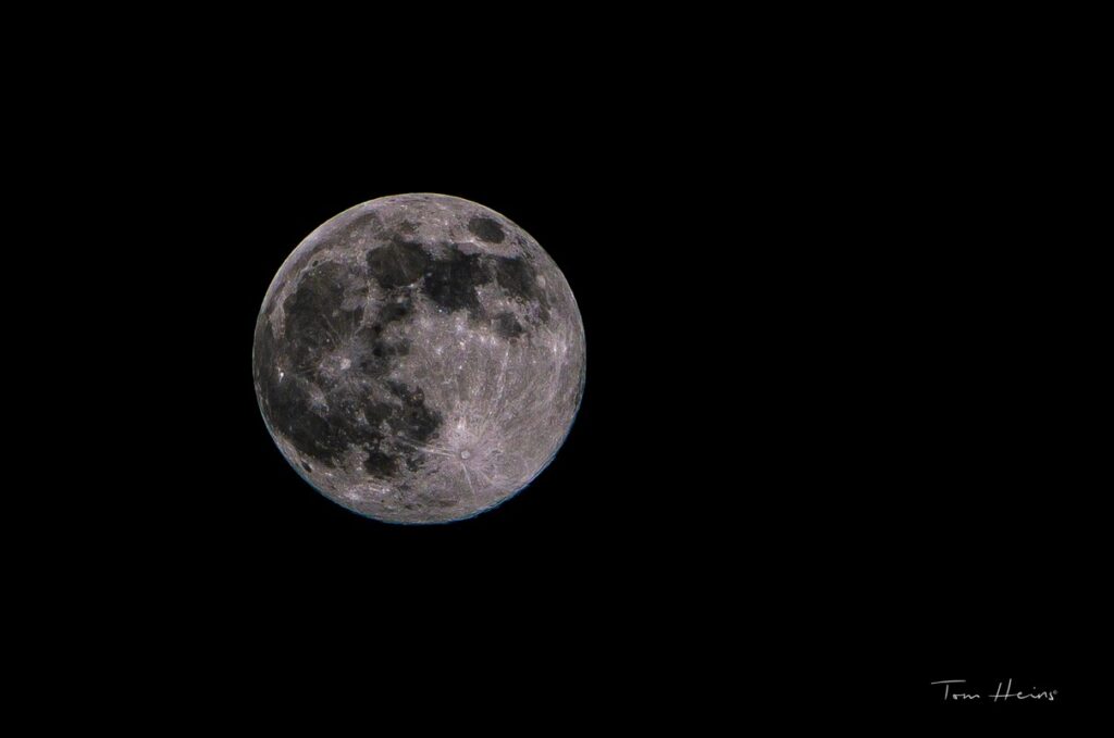 Sněžný úplněk ve Lvu