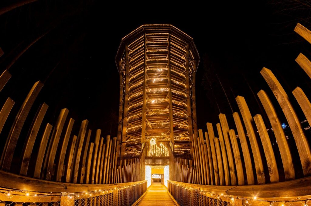 Stezka korunami stromů Krkonoše