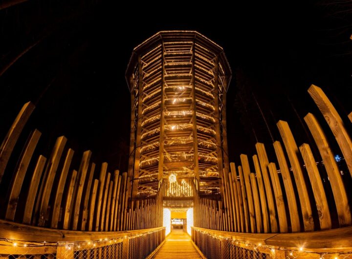 Stezka korunami stromů Krkonoše