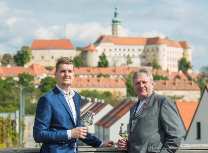 Vinařství Volařík, Ryzlink vlašský