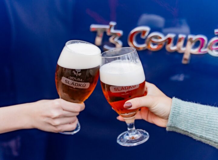 Volba sládků , únorová volba sládků, Birel,