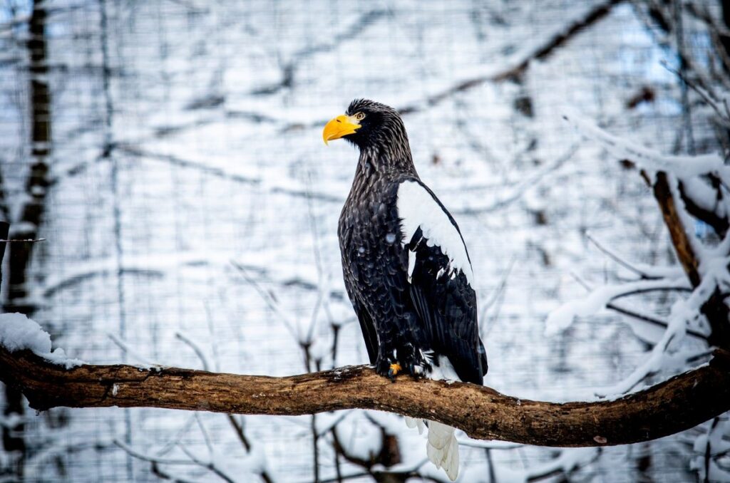 Zoo Ostrava Jarní prázdniny