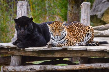 Zoo Zlín, jarní prázdniny, vstup,