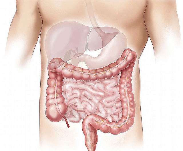 Suchý únor , zdraví, Měsíc bez alkoholu, játra, očista jater,