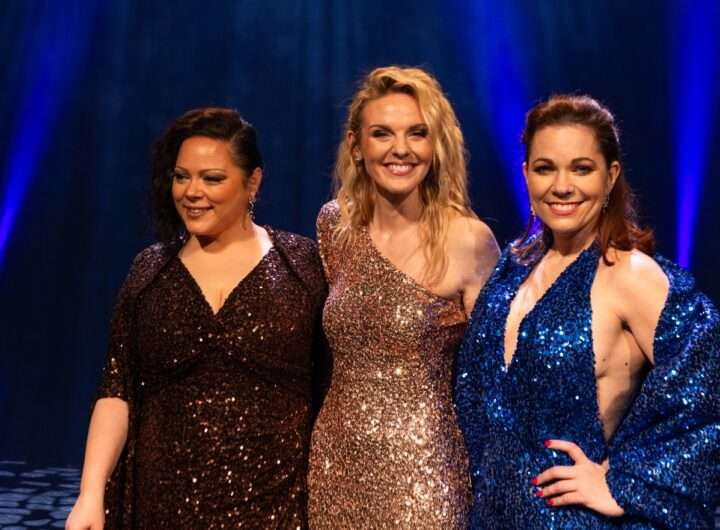 Céline show, Hybernie, Michaely Noskové, Leony Černé Stříbrné, Petry Peterové