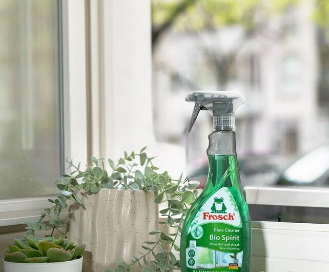 slunce, Frosch, bydlení, úklid